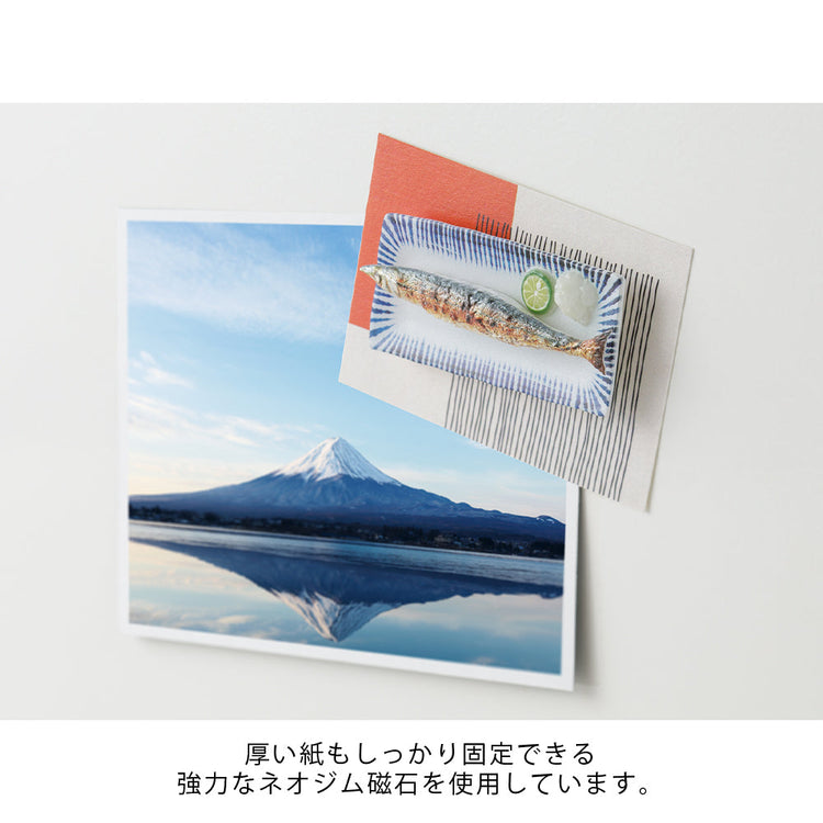 Midori Miniature Magnet <1pc> — Samma — flat lay