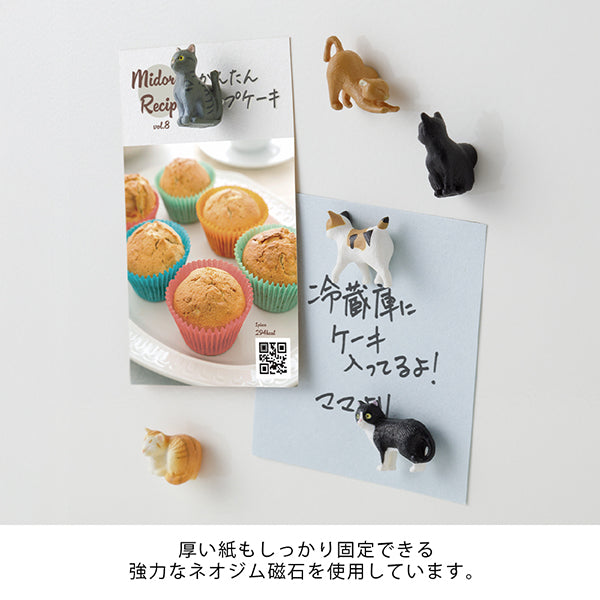 Midori Miniature Magnet <Set of 6> — Cat C — with packaging