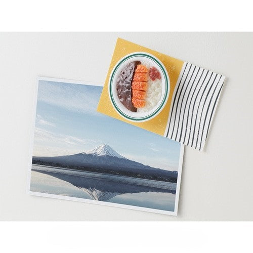 Midori Miniature Magnet — Katsu Curry — flat lay