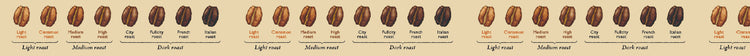 mt Upcycle Tape — Coffee Roast — rolled out on paper