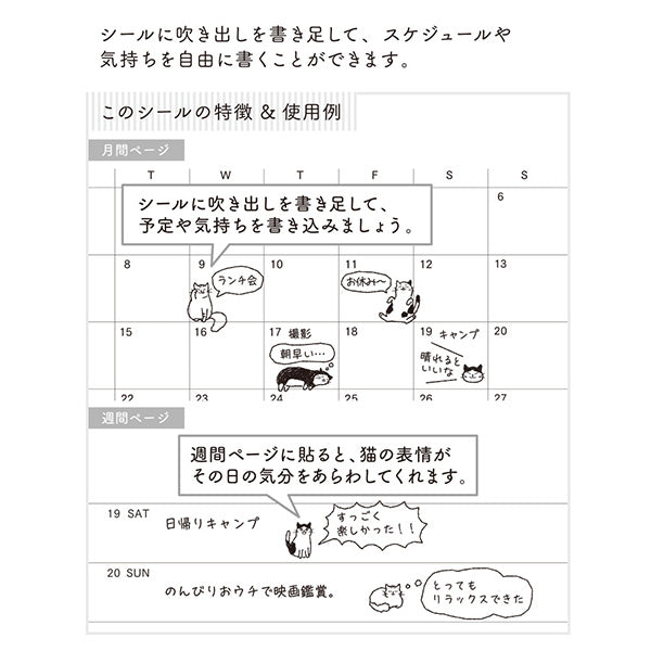 Midori Chat Sticker — Cat — close-up