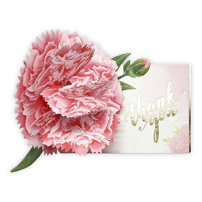 D'Won 3D Pop Up Thank You Card — Carnation, Pink — card open showing design
