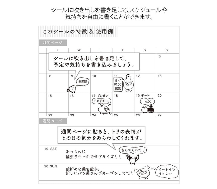 Midori Notebook Sticker — Talking Birds — close-up