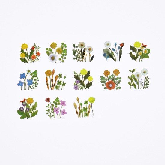 Bande Washi Roll Sticker Dandelion — applied in a journal