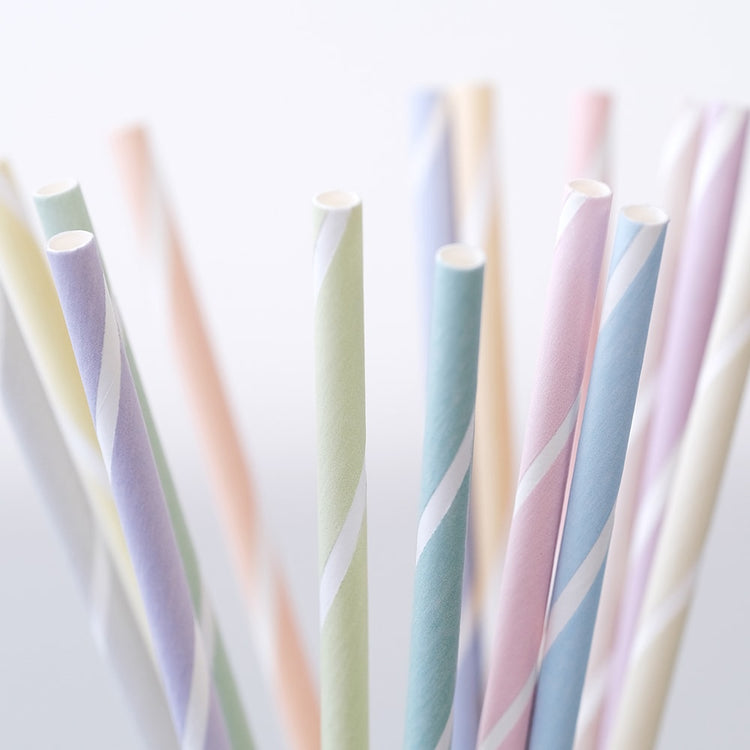 mt Basic Washi Tape — Pastel Ivy 7m — with packaging