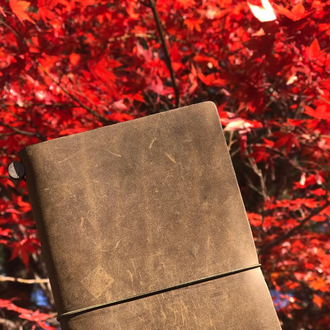 Travel companion