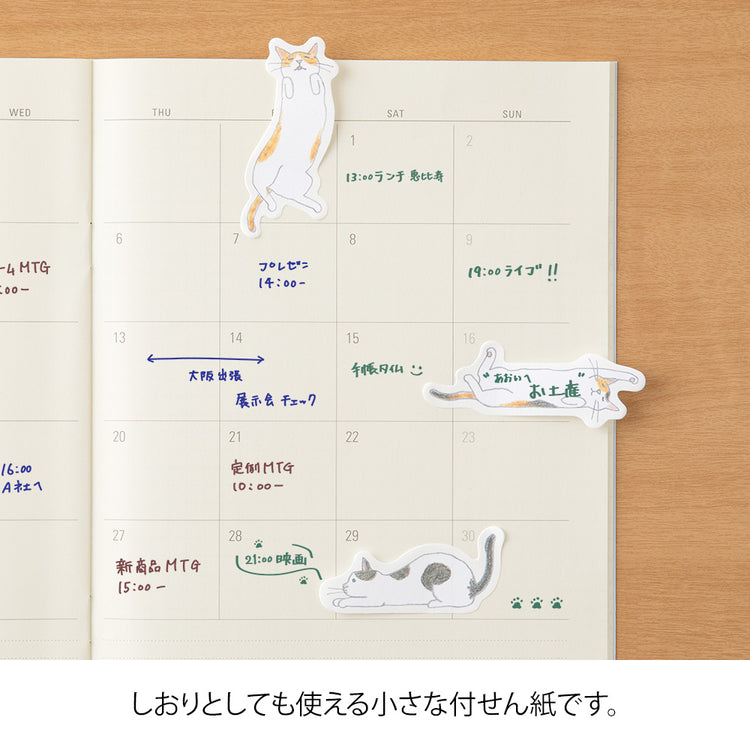 Midori Sticky Notes Point — Cat Stretching Out — flat lay