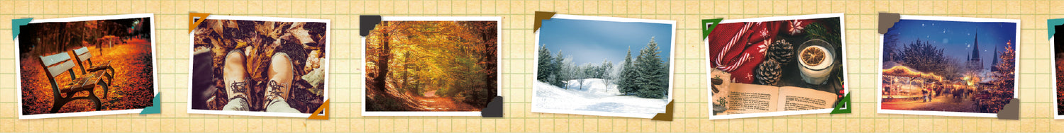 mt EX Washi Tape — Memory Album — with packaging