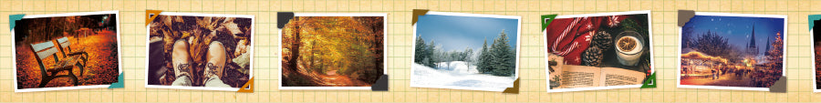 mt EX Washi Tape — Memory Album — rolled out on paper