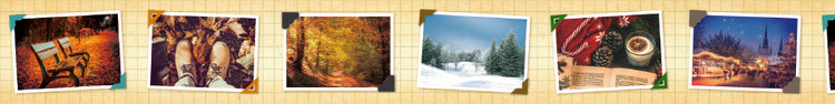 mt EX Washi Tape — Memory Album — rolled out on paper