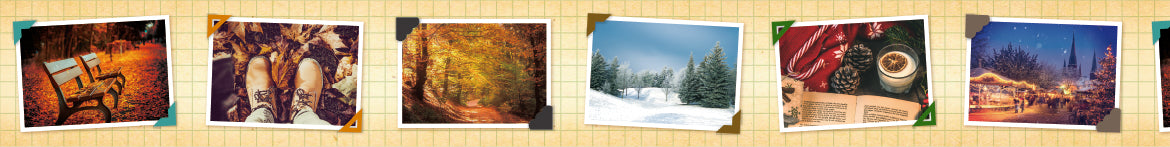mt EX Washi Tape — Memory Album — colour close-up