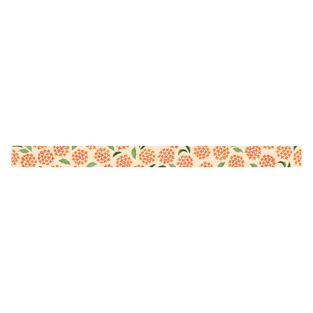 mt x Maruichikyu Washi Tape — Osmanthus — rolled out on paper