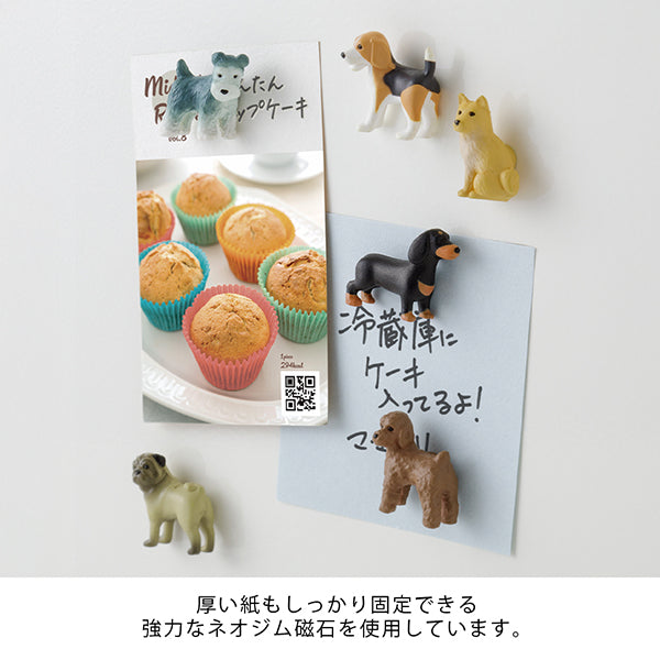 Midori Miniature Magnet <Set of 6> — Dog C — with packaging
