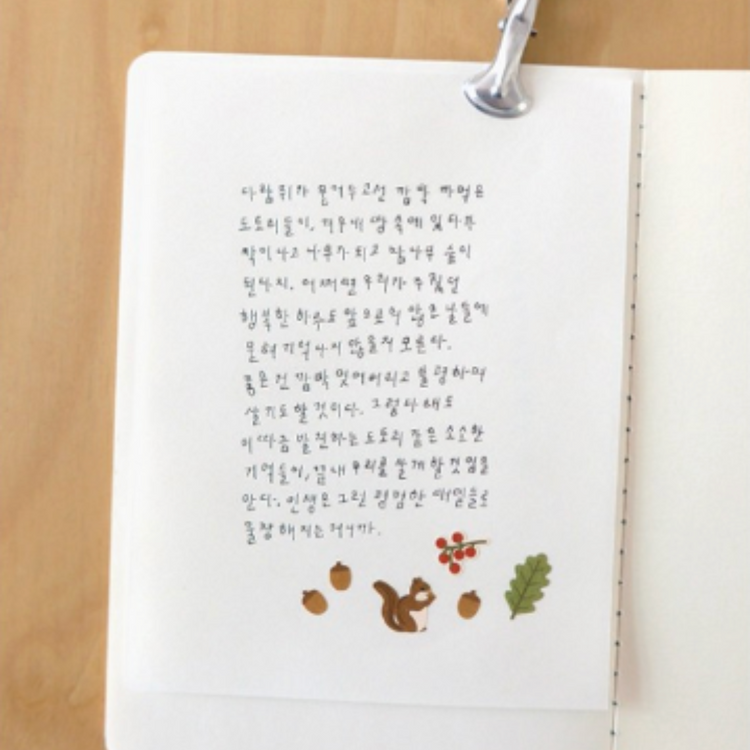 Suatelier Daily Deco Sticker — Little Forest — with packaging