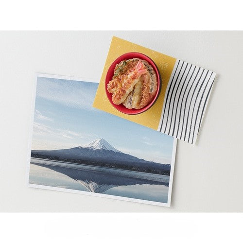Midori Miniature Magnet — Tendon — flat lay