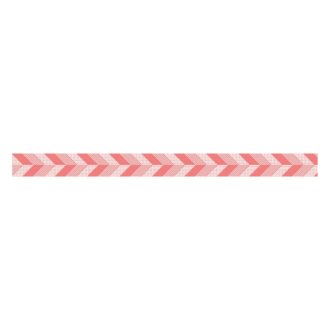 mt 1P Kamoi Washi Tape — Multi-stripe Pink — with packaging