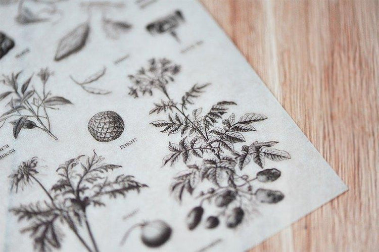 Mu Craft Print-On Sticker Botanics