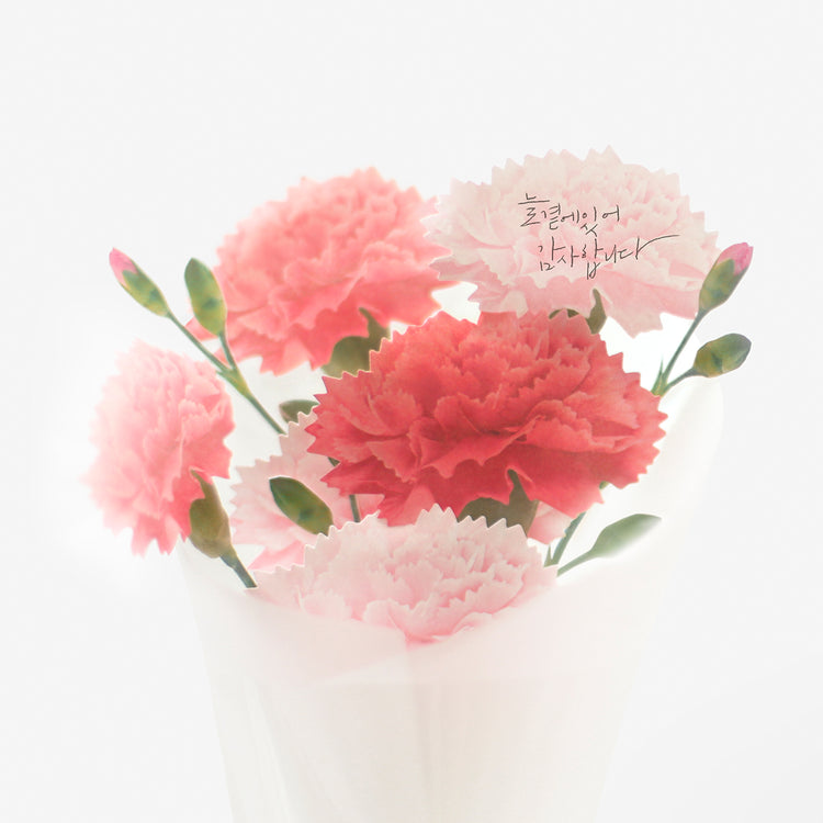 Appree Sticky Leaf Carnation Pink S