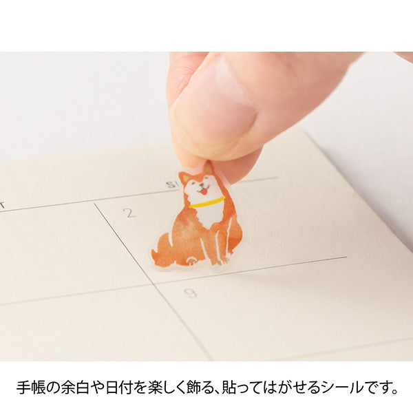Midori Color Sticker — Brown — with packaging
