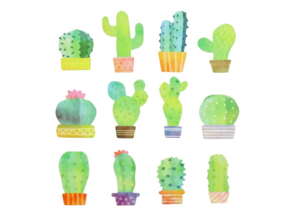 Bande Cactus Roll Sticker (BDA291) | Washi Wednesday