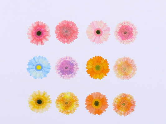 Bande Garbera Washi Roll Sticker — sticker detail