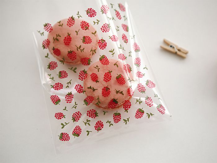 DailyLike Raspberry Small Clear Gift Bag  (DSBS01) | Washi Wednesday