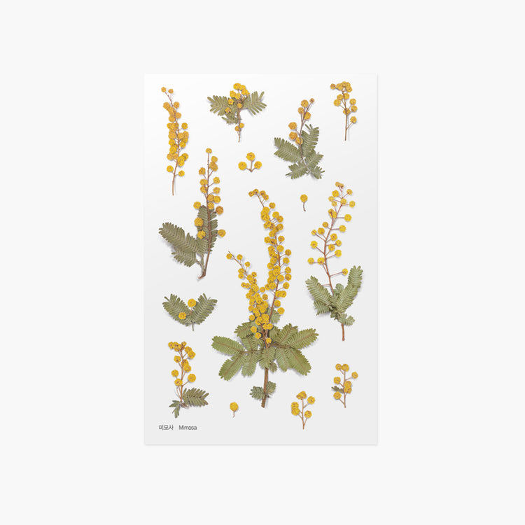 Appree Pressed Flower Sticker Mimosa