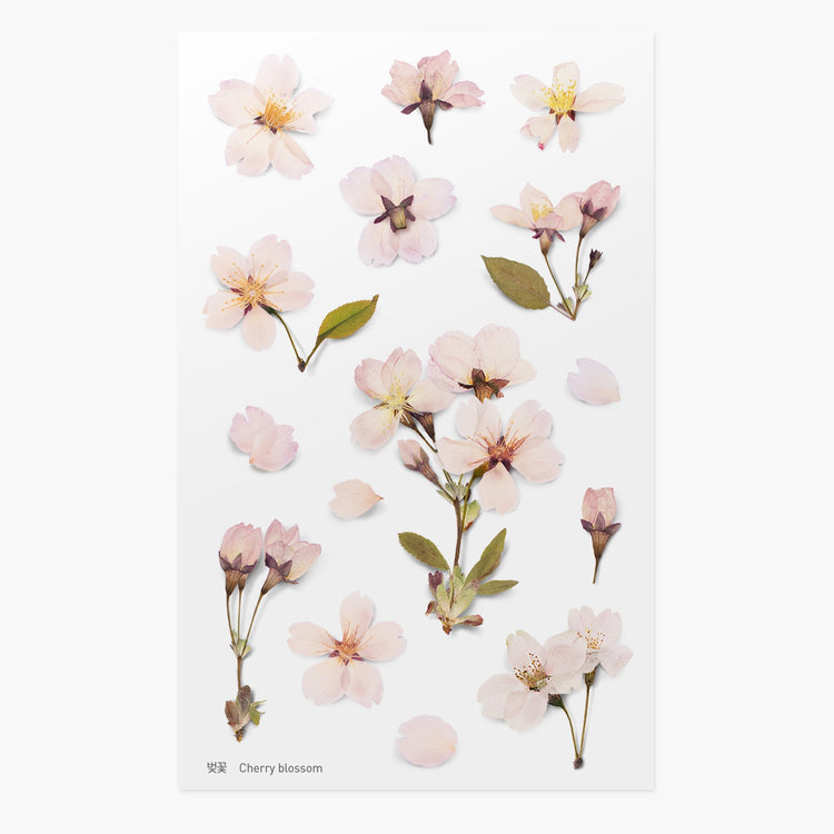 Appree Pressed Flower Sticker Cherry Blossom
