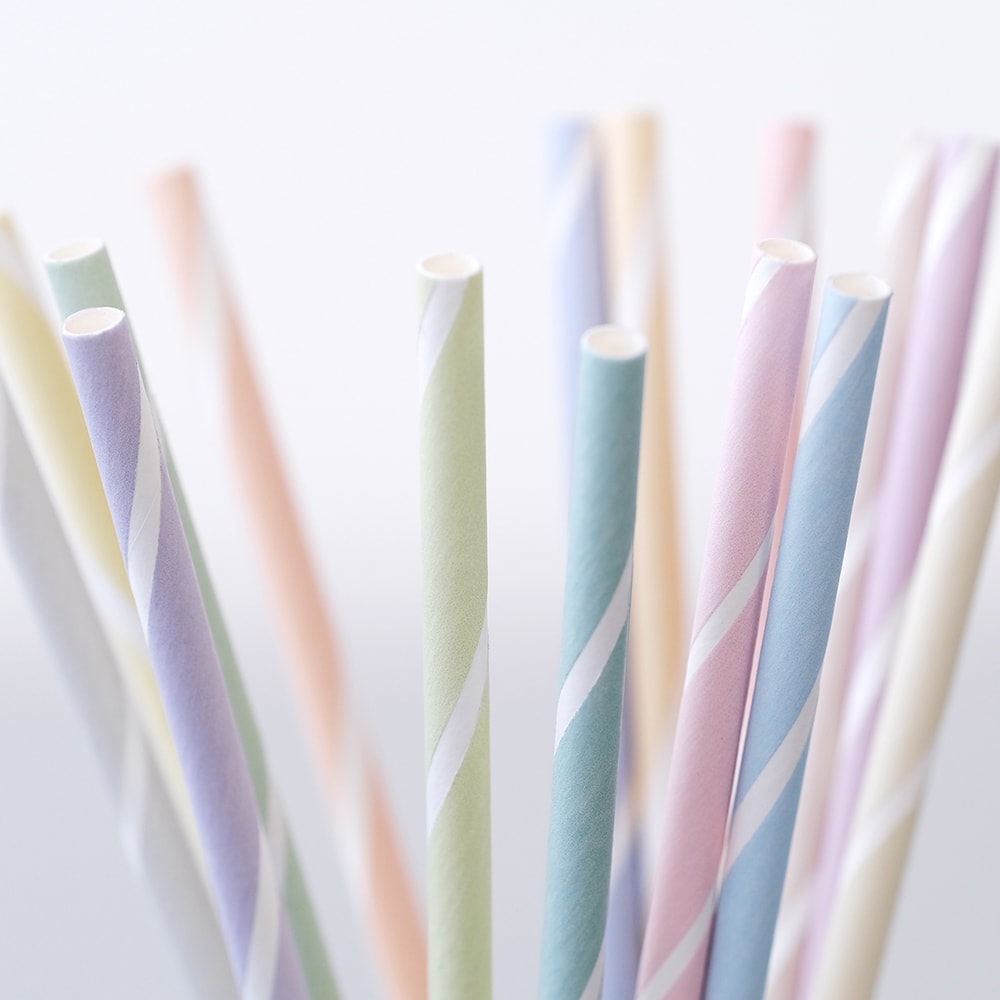 mt Basic Washi Tape — Pastel Ivy 7m — with packaging